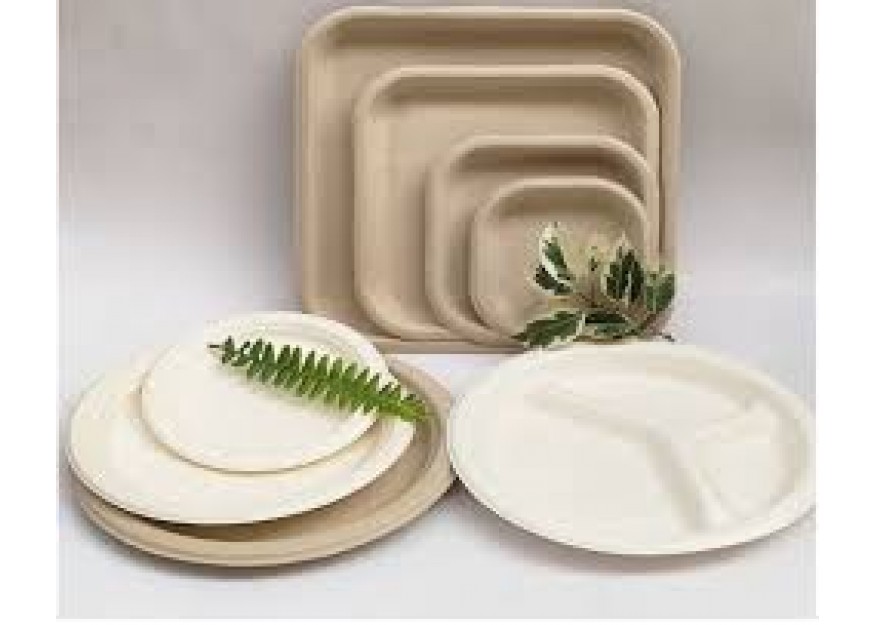 จานแบบใช้แล้วทิ้ง: เลือกตัวเลือกที่ดีที่สุดสำหรับความต้องการของคุณ